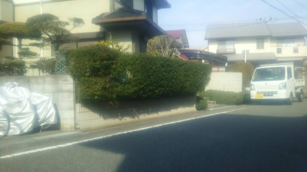 【茨木市】脱走防止&景観アップ。生垣撤去+メッシュフェンス設置&レッドロビン植栽工事 作業前