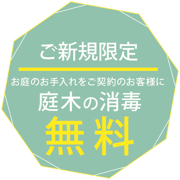 ホームページ見た！でご新規の方限定！庭木の消毒無料