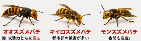 ※みんなのハチ駆除やさんサイトから画像おかりました。